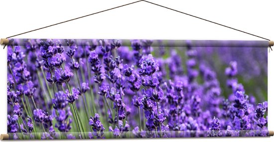 Textielposter - Lavendel Planten op een Grasveld - 120x40 cm Foto op Textiel