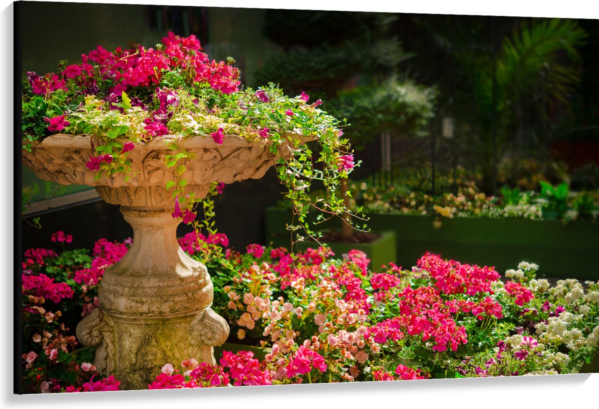 Canvas - Felroze Bloemen uit Fontein - 150x100 cm Foto op Canvas Schilderij (Wanddecoratie