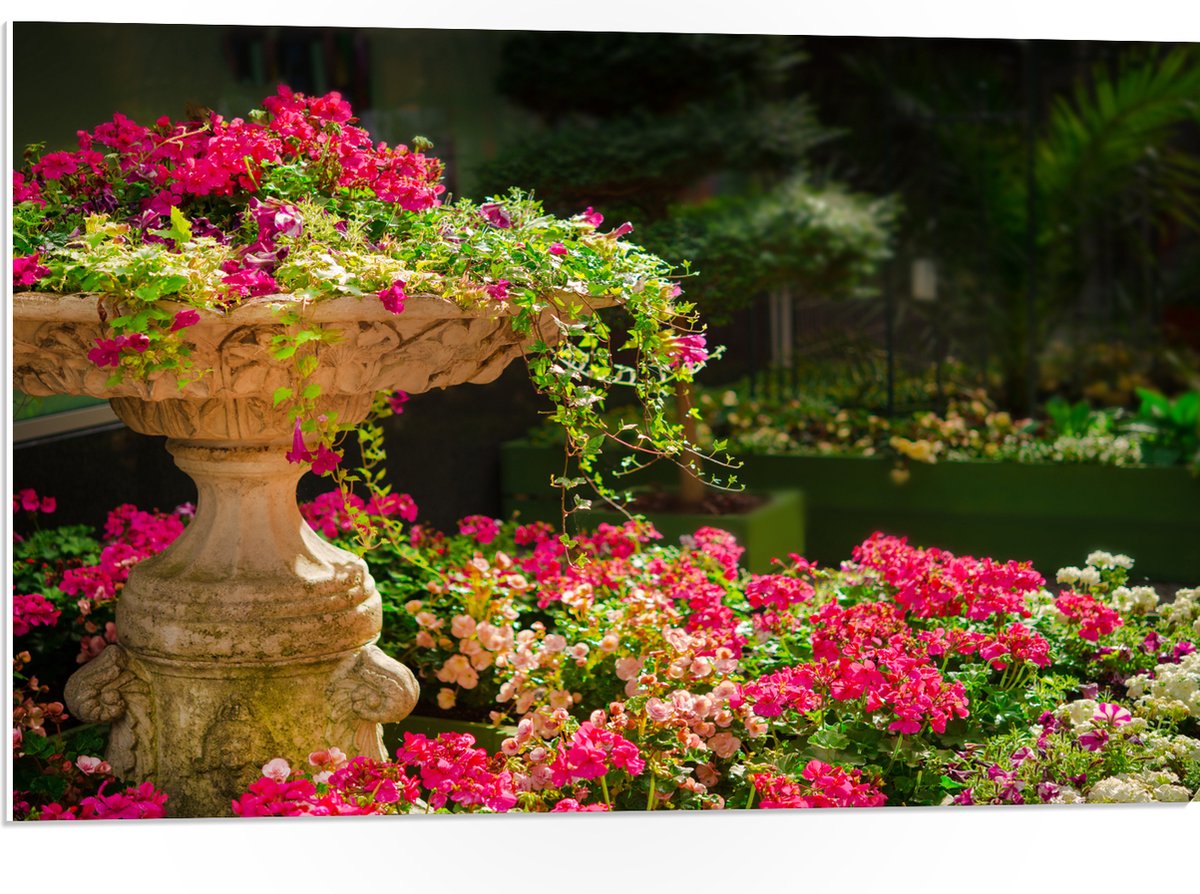 PVC Schuimplaat- Felroze Bloemen uit Fontein - 75x50 cm Foto op PVC Schuimplaat