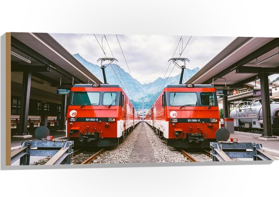 WallClassics - Hout - Twee Treinen bij Station - 100x50 cm - 9 mm dik - Foto op Hout (Met Ophangsysteem)