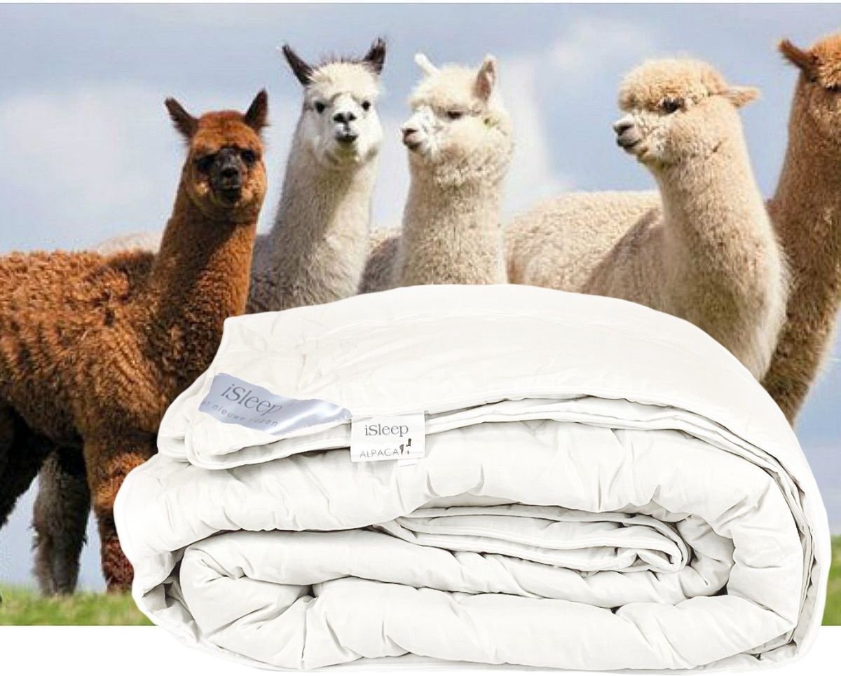 iSleep Alpaca wollen 4-seizoenen dekbed - Lits-jumeaux XL - 260x220 cm