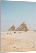 WallClassics - Tuinposter – Piramides in de Woestijn met Kamelen - 100x150 cm Foto op Tuinposter (wanddecoratie voor buiten en binnen)