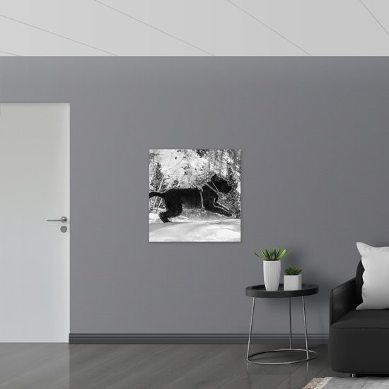 WallClassics - Bois - Chien noir sautant dans la neige - 80x80 cm - épaisseur 9 mm - Photo sur bois (avec système de suspension)