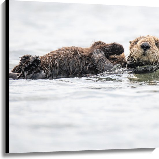 WallClassics - Canvas - Zwemmende Otters in het Water - 100x100 cm Foto op Canvas Schilderij (Wanddecoratie op Canvas)
