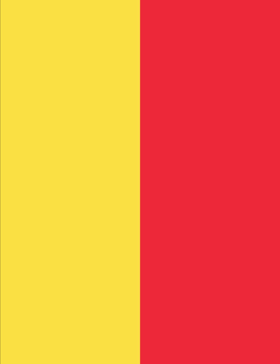 Vlag Belgie 300x450cm