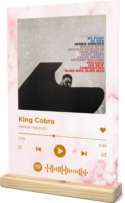Songr Spotify Muziek Bordje King Cobra Herbie Hancock 20x30