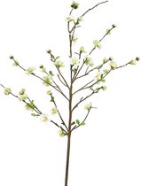 Kunstbloemen En Overige - Prunus Cherree Cream 106cm