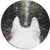 WallClassics - Dibond Muurcirkel - Achterkant Witte Hond in het Bos - 30x30 cm Foto op Aluminium Muurcirkel (met ophangsysteem)