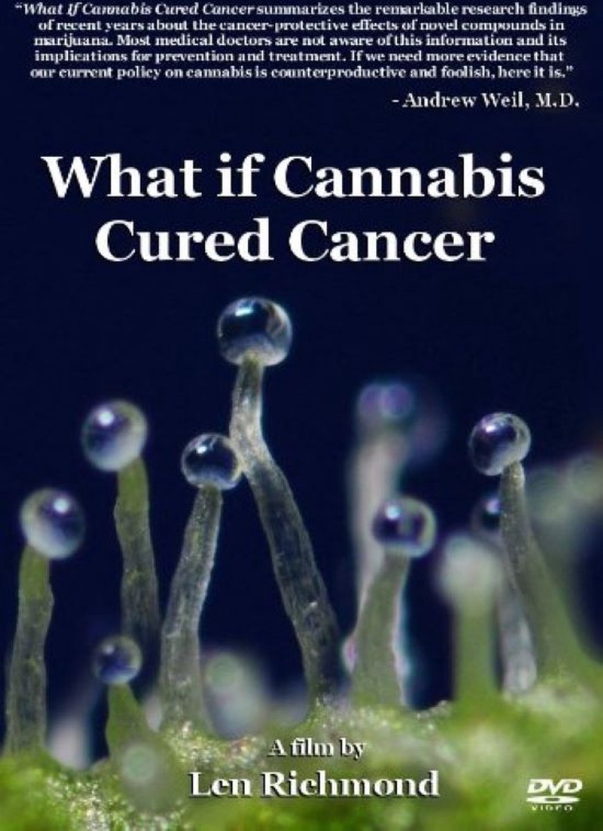 What if Cannabis Cured Cancer
