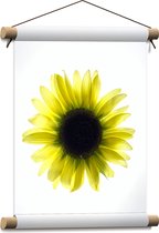 Textielposter - Biovenaanzicht van een Gele Zonnebloem met Witte Ondergrond - 30x40 cm Foto op Textiel