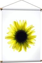 Textielposter - Biovenaanzicht van een Gele Zonnebloem met Witte Ondergrond - 60x80 cm Foto op Textiel