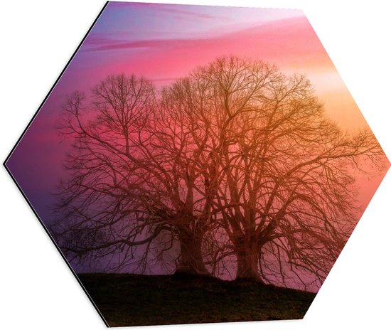 Dibond Hexagon - Twee Grote Kale Bomen op Heuvel tijdens Ondergaande Zon - 60x52.2 cm Foto op Hexagon (Met Ophangsysteem)