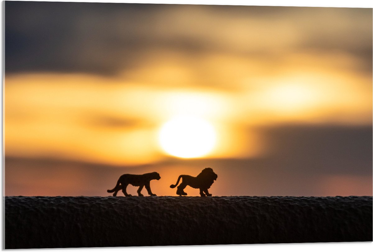 Acrylglas - Speelgoed Dieren bij Zonsondergang - 90x60 cm Foto op Acrylglas (Met Ophangsysteem)