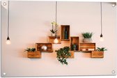 Tuinposter – Trio Lampen voor Kistjes met Planten aan de Muur - 75x50 cm Foto op Tuinposter (wanddecoratie voor buiten en binnen)