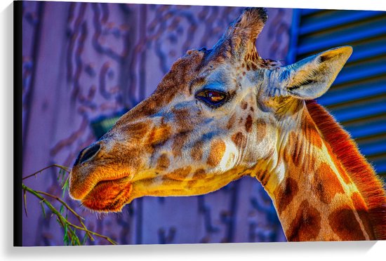 WallClassics - Canvas - Zijaanzicht van Etende Giraffe - 90x60 cm Foto op Canvas Schilderij (Wanddecoratie op Canvas)