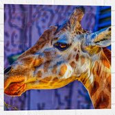 WallClassics - Muursticker - Zijaanzicht van Etende Giraffe - 50x50 cm Foto op Muursticker
