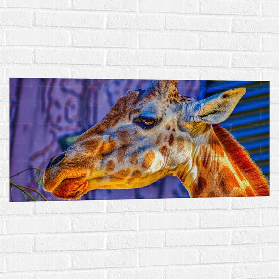 WallClassics - Muursticker - Zijaanzicht van Etende Giraffe - 100x50 cm Foto op Muursticker