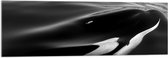 WallClassics - Acrylglas - Zwart met Witte Orka aan het Wateroppervlak (Zwart- wit) - 120x40 cm Foto op Acrylglas (Wanddecoratie op Acrylaat)
