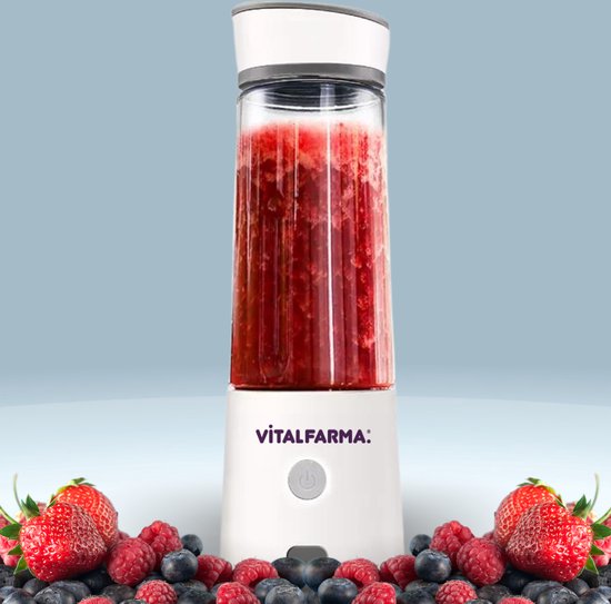 Draagbare mini blender to go Portable smoothie maker Snel opladen