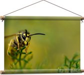 WallClassics - Affiche textile - Guêpe sur branches vertes - 60x40 cm Photo sur textile