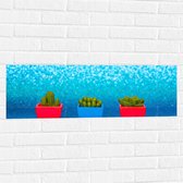 Muursticker - Trio van Rode en Blauwe Vaasjes met Groene Vetplanten in Blauwgekleurde Glitter Achtergrond - 90x30 cm Foto op Muursticker