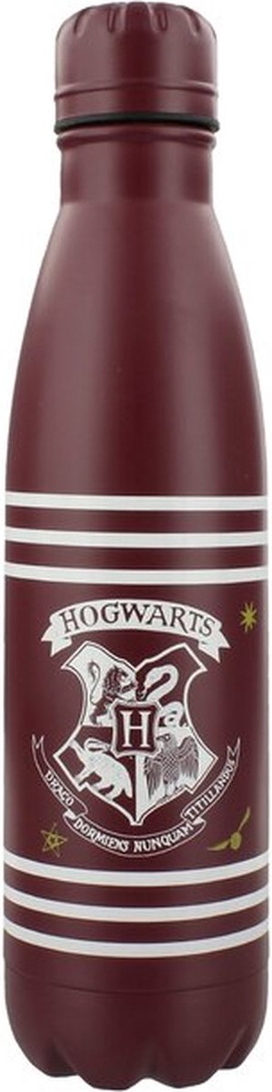Harry Potter - Streepjes & Kuifje metalen drinkfles