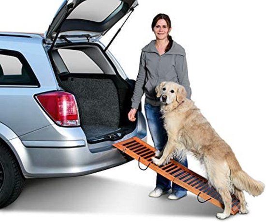 Hondentrap voor hoge bedden 5-traps hondentrap voor kleine honden en katten Gebogen huisdiertrap voor hoge bed kopen vanaf een prijs van 203 Hondentrap voor hoge bedden 5-traps hondentrap voor kleine honden en katten Gebogen huisdiertrap voor hoge bed kopen vanaf een prijs van 203