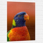 WallClassics - Muursticker - Blijkijkende Papegaai met Felle Kleuren - 80x120 cm Foto op Muursticker