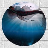 Muursticker Cirkel - Onderaanzicht van Zeemeermin Zwemmend bij Wateroppervlak - 30x30 cm Foto op Muursticker