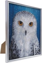 Diamond painting Crystal Art Rachel Froud: Owl (21x25cm/partial)