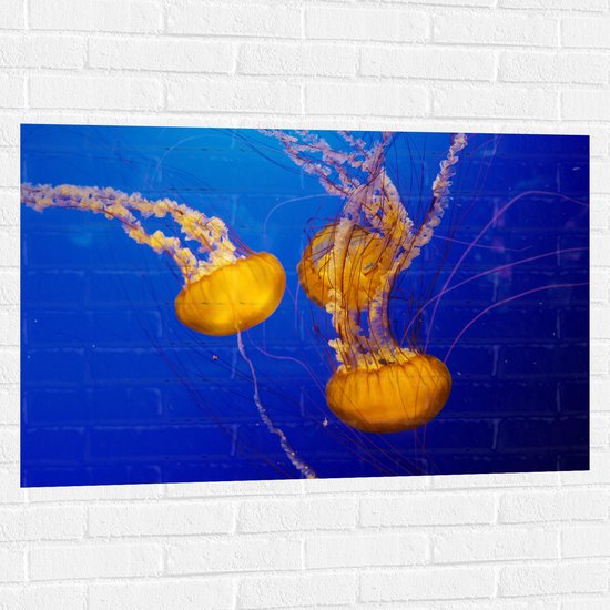 WallClassics - Muursticker - Feloranje Kwallen in Donkerblauwe Oceaan - 105x70 cm Foto op Muursticker