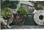 WallClassics - Dibond - Rode Fiets versierd met Planten tegen Stenen Muur - 105x70 cm Foto op Aluminium (Wanddecoratie van metaal)