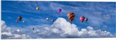 WallClassics - Acrylglas - Groepje Gekleurde Luchtballonnen bij Wolken in Blauwe Lucht - 120x40 cm Foto op Acrylglas (Wanddecoratie op Acrylaat)