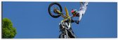WallClassics - Dibond - Freestyle Motocross boven Boom - 60x20 cm Foto op Aluminium (Wanddecoratie van metaal)