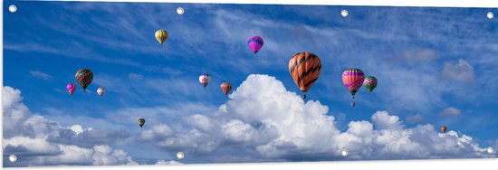 WallClassics - Tuinposter – Groepje Gekleurde Luchtballonnen bij Wolken in Blauwe Lucht - 150x50 cm Foto op Tuinposter (wanddecoratie voor buiten en binnen)