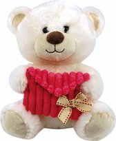 teddybeer creme wit met roze enveloppe 20 cm pluche knuffel