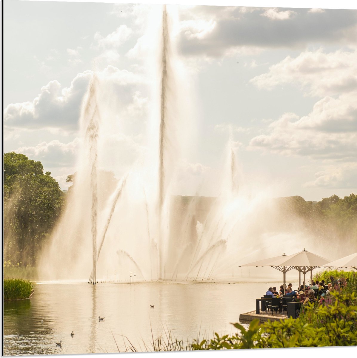 Dibond - Waterfontein in een Meer - 80x80 cm Foto op Aluminium (Wanddecoratie van metaal)