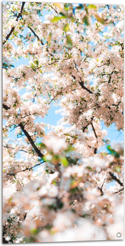 Tuinposter – Licht Roze met Witte Bloesem - 50x100 cm Foto op Tuinposter (wanddecoratie voor buiten en binnen)