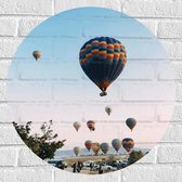 Muursticker Cirkel - Veel Luchtballonnen in Licht Roze met Blauwe Lucht - 60x60 cm Foto op Muursticker