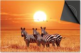 Protection induction 77x51 - plaque de recouvrement tapis induction - Dietrix Protection plaque de cuisson - DELUXE - Animaux - Zèbres coucher de soleil Afrique