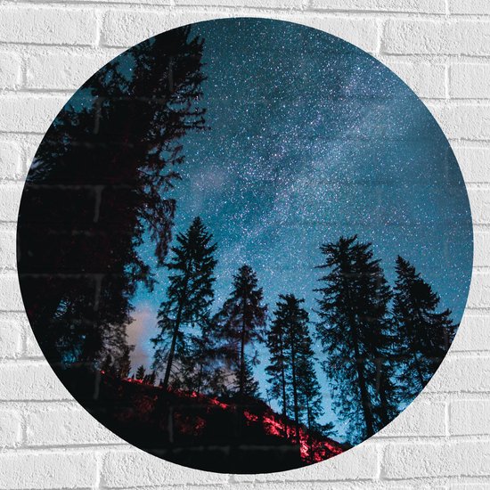 WallClassics - Muursticker Cirkel - Onderaanzicht van Hoge Donkere Bomen onder Heldere Sterrenhemel - 80x80 cm Foto op Muursticker