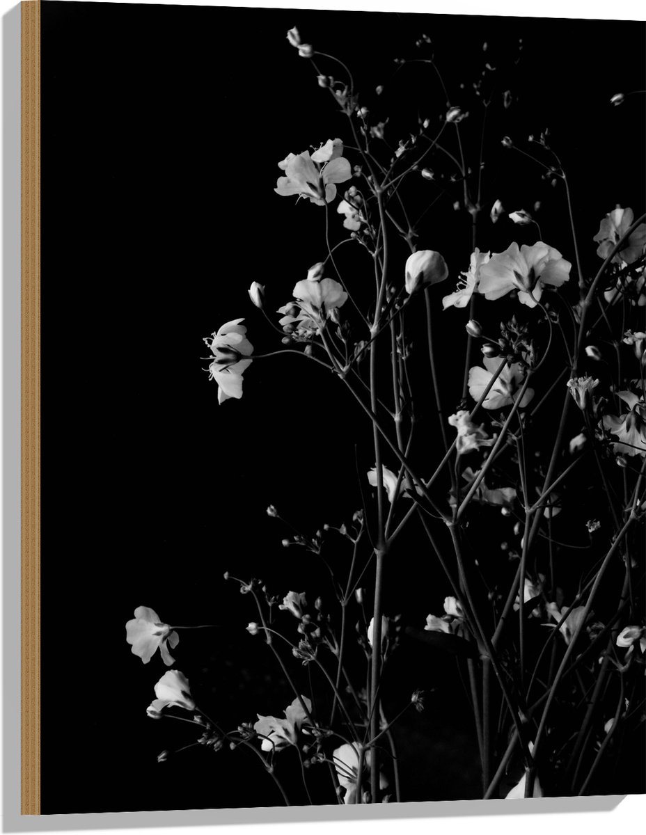 Hout - Sluierkruid Bloemen Zwart/Wit - 60x80 cm - 9 mm dik - Foto op Hout (Met Ophangsysteem)