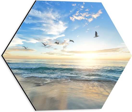 Dibond Hexagon - Vliegende Vogels over Zee - 40x34.8 cm Foto op Hexagon (Met Ophangsysteem)