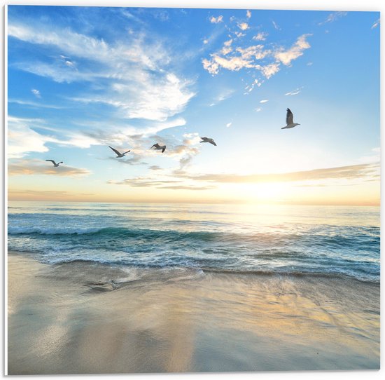 PVC Schuimplaat- Vliegende Vogels over Zee - 50x50 cm Foto op PVC Schuimplaat