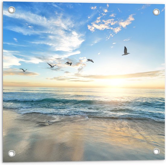 Tuinposter – Vliegende Vogels over Zee - 50x50 cm Foto op Tuinposter (wanddecoratie voor buiten en binnen)