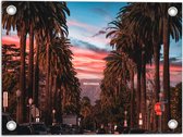 Tuinposter – Los Angeles Hollywood met Palmbomen - 40x30 cm Foto op Tuinposter (wanddecoratie voor buiten en binnen)
