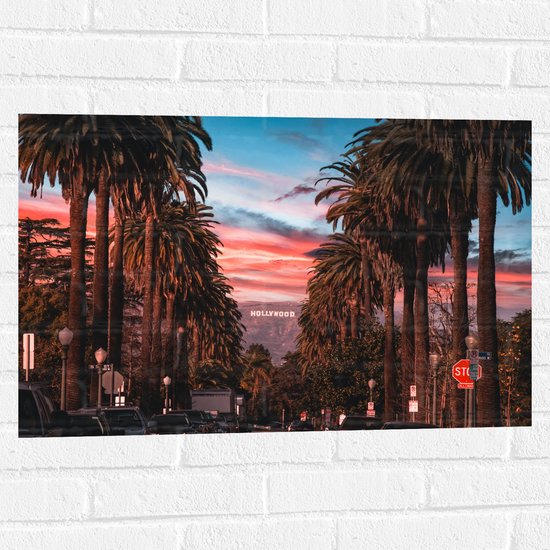 Muursticker - Los Angeles Hollywood met Palmbomen - 75x50 cm Foto op Muursticker