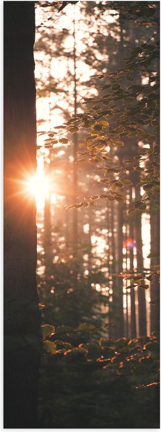 Poster Glanzend – Schijnende Zon tussen de Bomen - 50x150 cm Foto op Posterpapier met Glanzende Afwerking