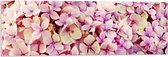 Acrylglas - Roze Bloementjes - 90x30 cm Foto op Acrylglas (Wanddecoratie op Acrylaat)