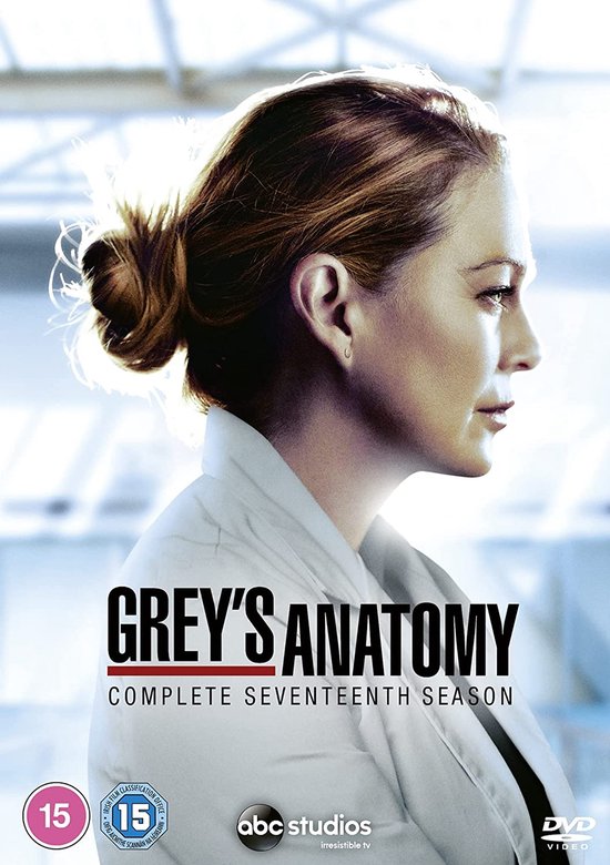 Grey's Anatomy S17 (DVD)